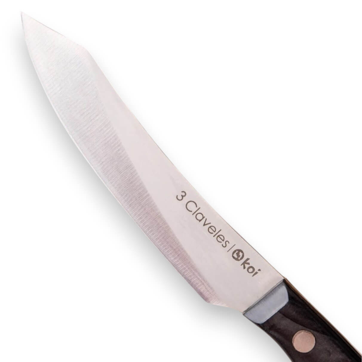 Set de 4 cuchillos chuleteros Koi 3 Claveles con mango acrílico negro