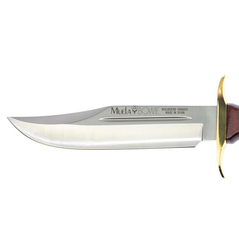 Cuchillo Bowie 18 Muela con mango de estamina y hoja de 18 cm