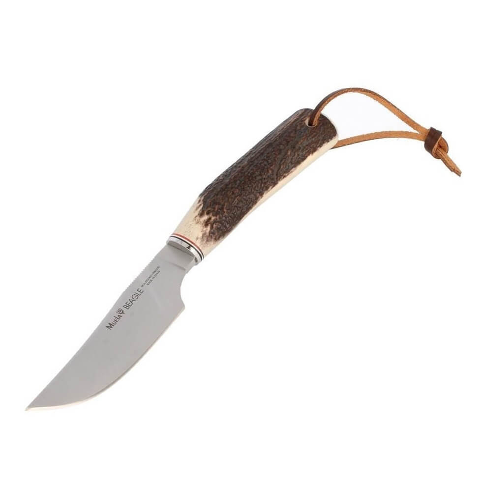 Couteau de chasse Muela Beagle-11A avec manche en bois de cerf et...