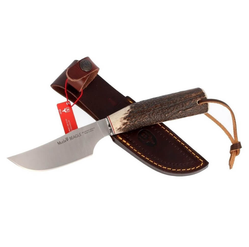 Couteau de chasse Muela Beagle-11A avec manche en bois de cerf et lame de 11 cm