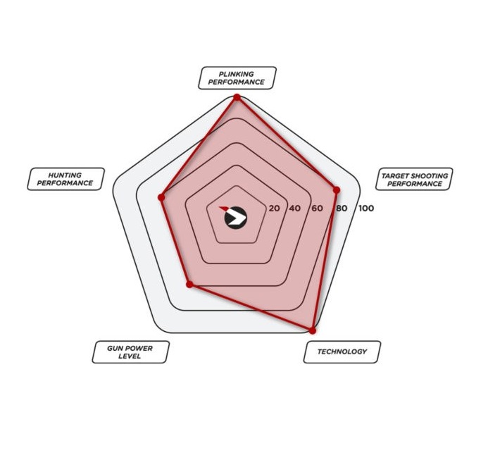 Gamo Roadster IGT 10X GEN 2 4,5 mm Luftgewehr