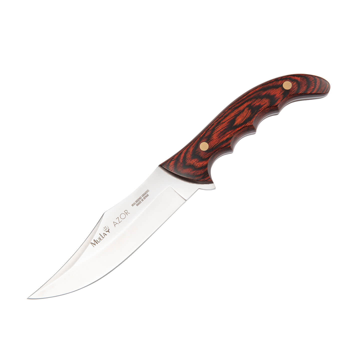Cuchillo de caza Muela Azor-13 con mango de madera prensada coral...