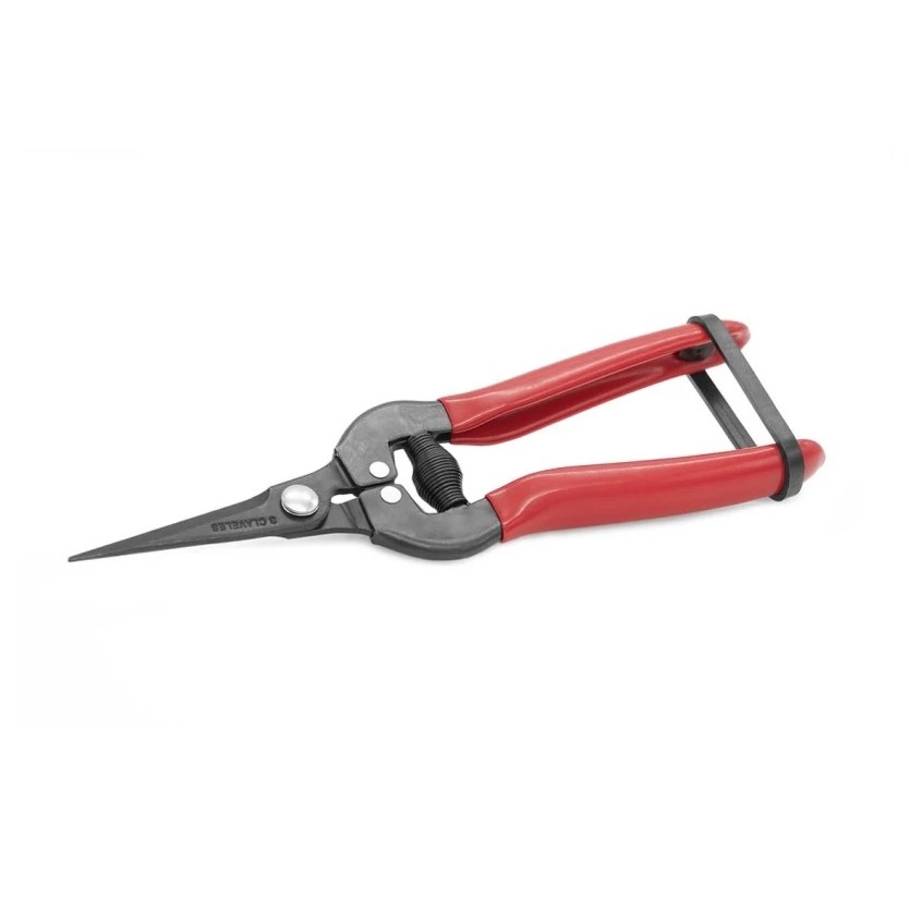 Tesoura para limpeza de uva agrícola 19 cm 3 Claveles