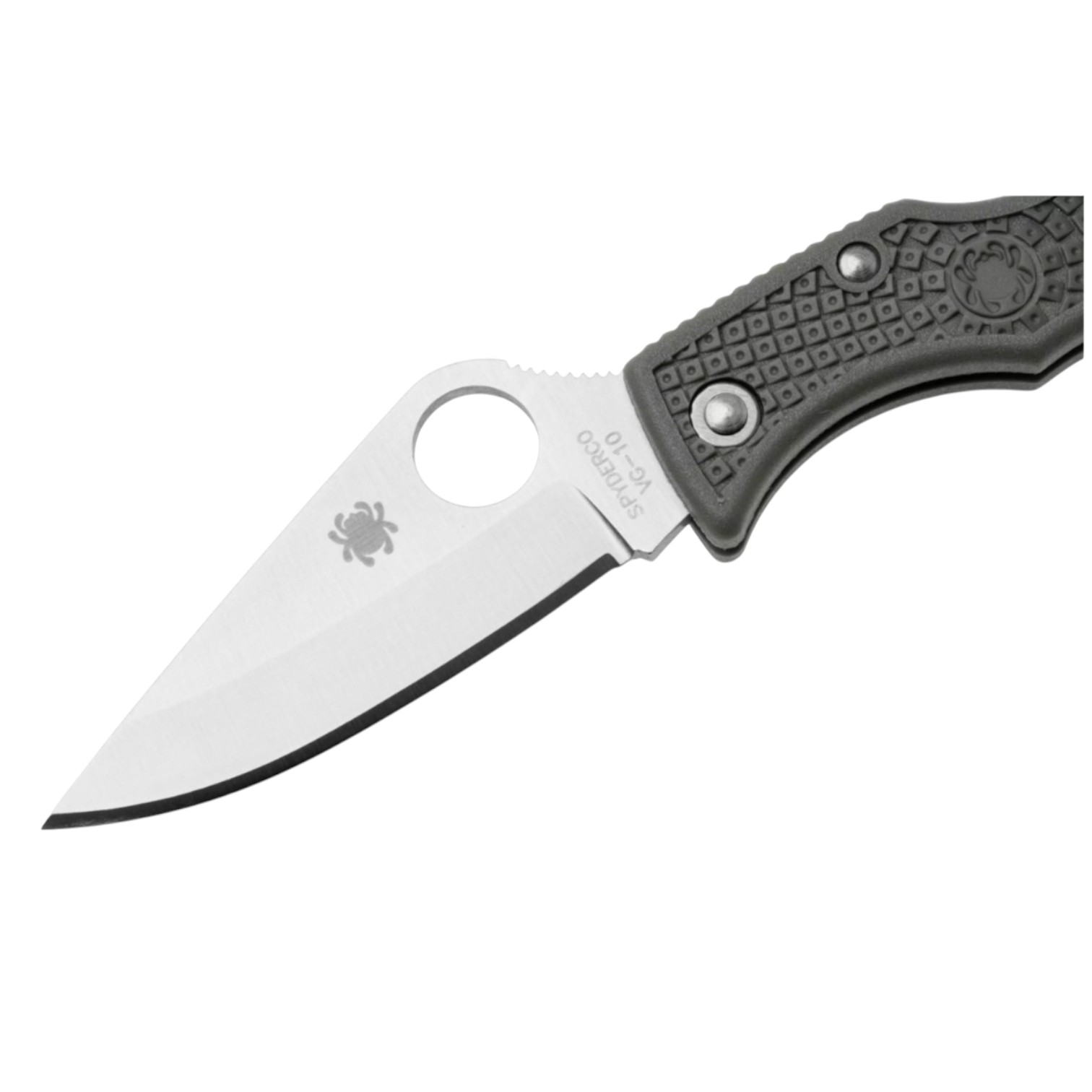 Coltellino tascabile Spyderco Ladybug Foliage Green LFGP3 con lama VG10 da 4,9 cm e impugnatura FRN verde