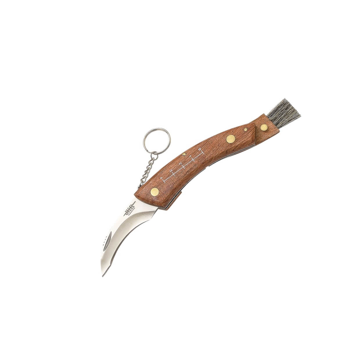 Navaja de setas con mango de madera con cepillo y hoja de 8 cm co...