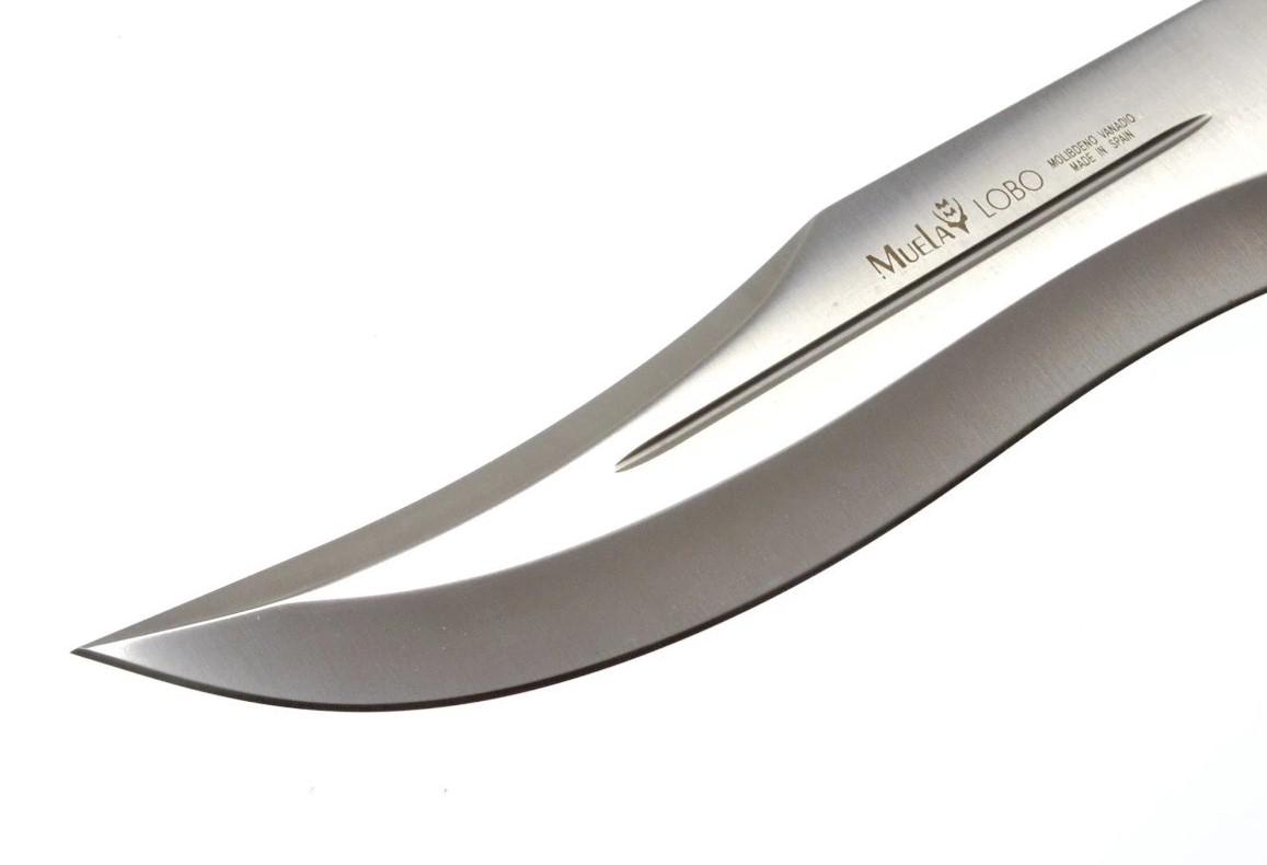 Muela Lobo23S a hunting knife with deer antler handle with rosette