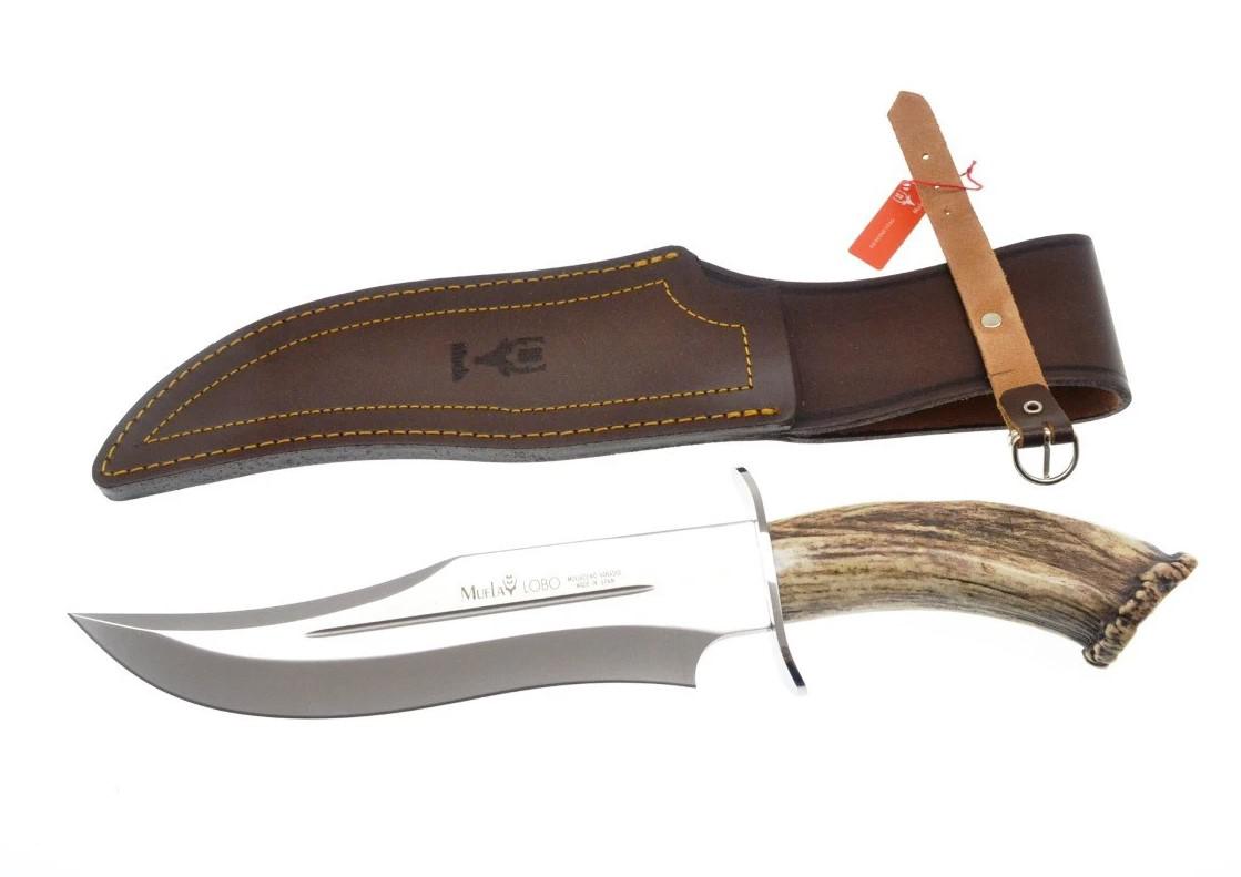 Muela Lobo23S a hunting knife with deer antler handle with rosette