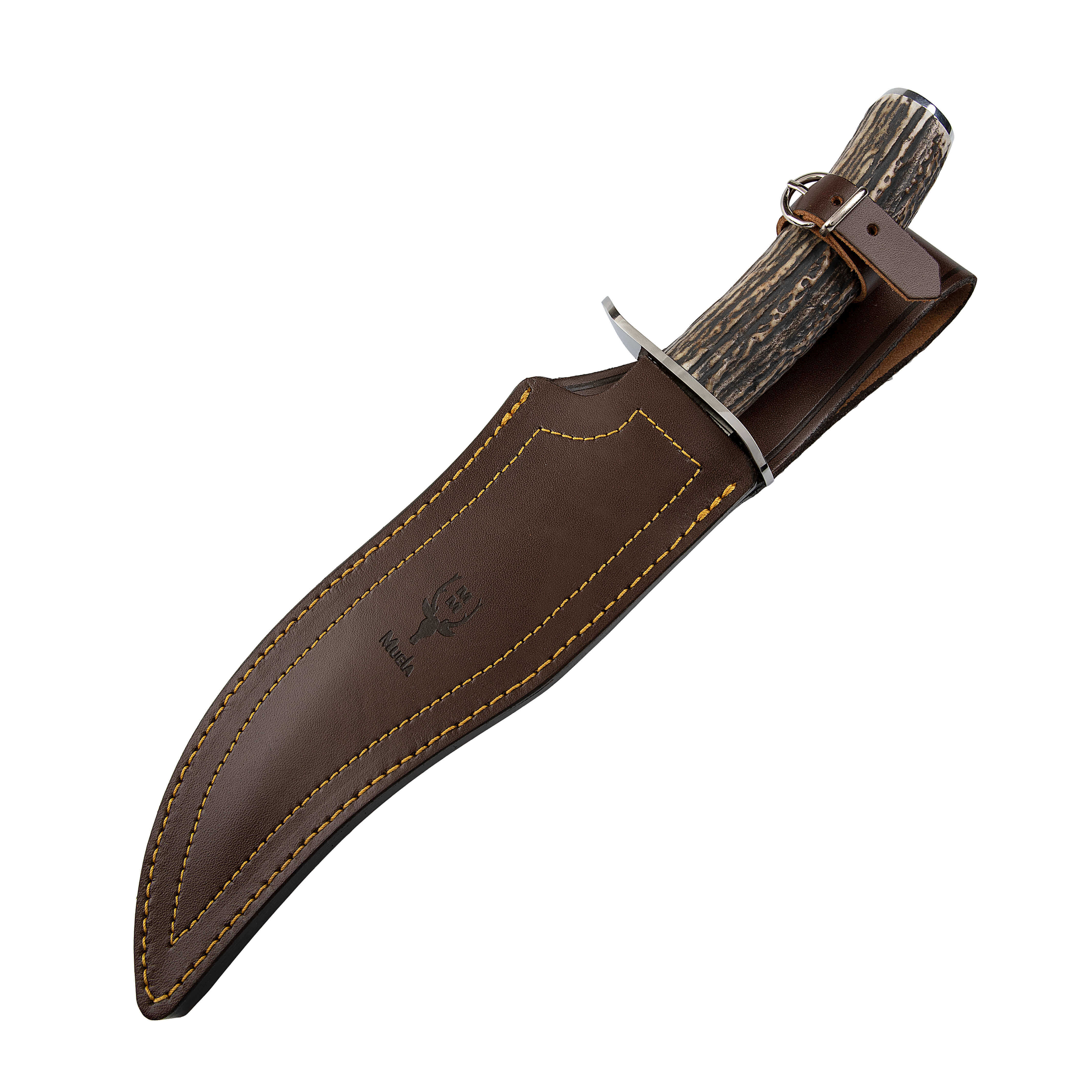 Muela Lobo23A a hunting knife with deer antler handle and 23 cm blade