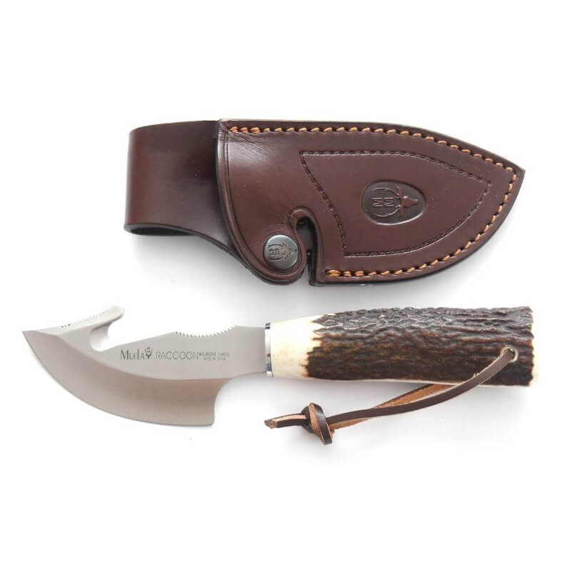 Faca de caça Muela Raccoon-8A com cabo de chifre de veado e lâmina de 8 cm