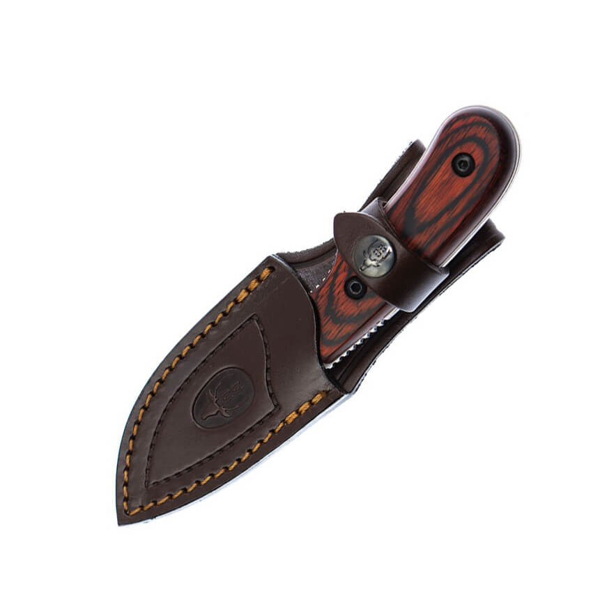 Faca de esfolar Muela Ibex com cabo resistente e lâmina de 7,5 cm