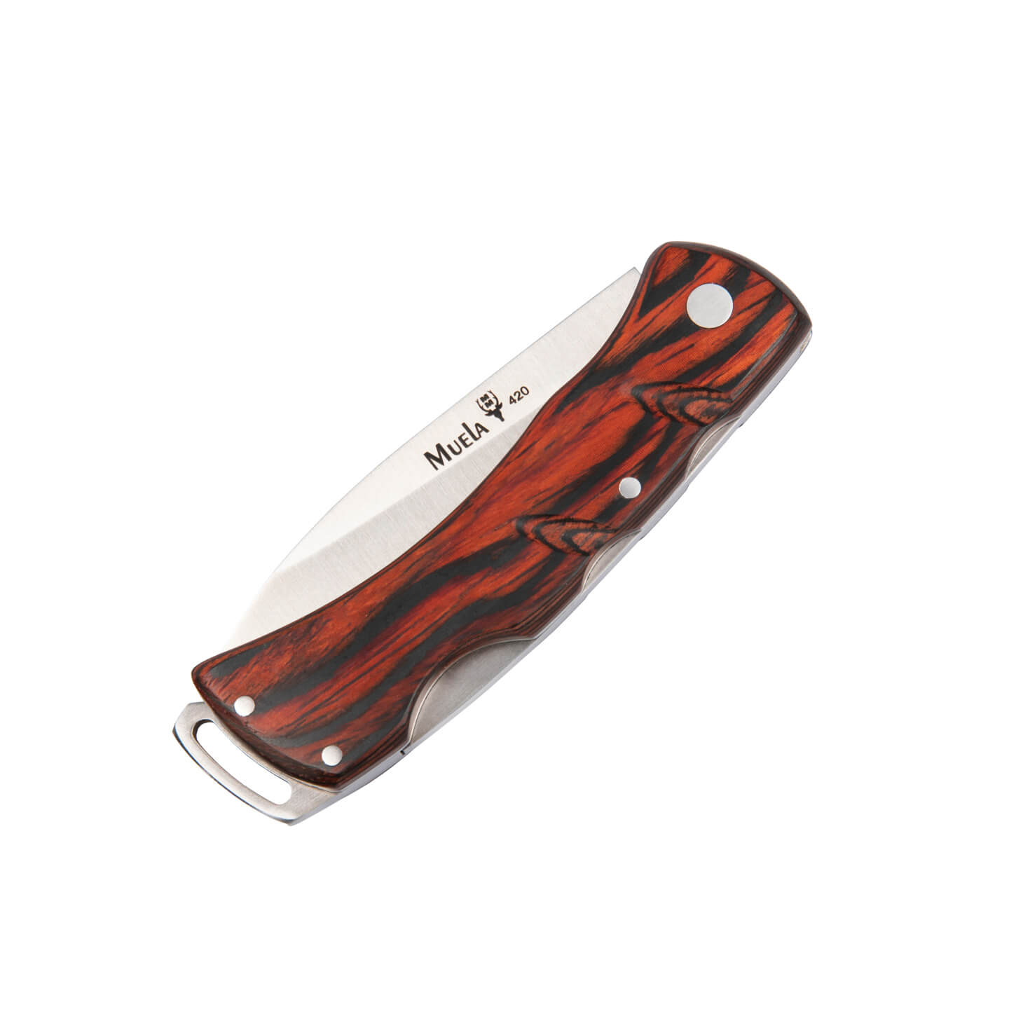 Muela K-7R pocket knife with coral pressed wood handle and 7 cm blade