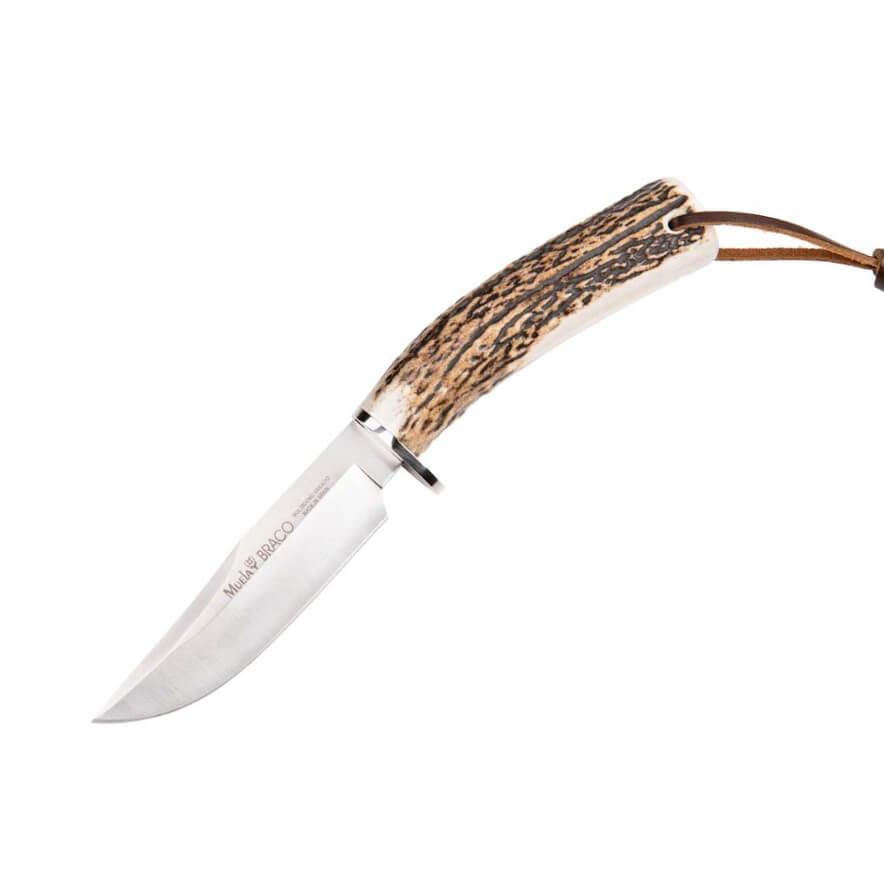 Cuchillo de caza Muela Braco 11A con mango de asta de ciervo y ho...