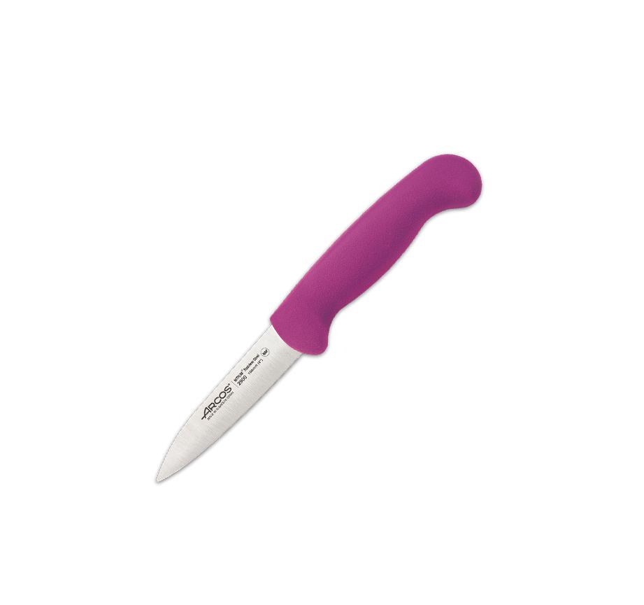 Arcos paring knife 2900 with polypropylene handle